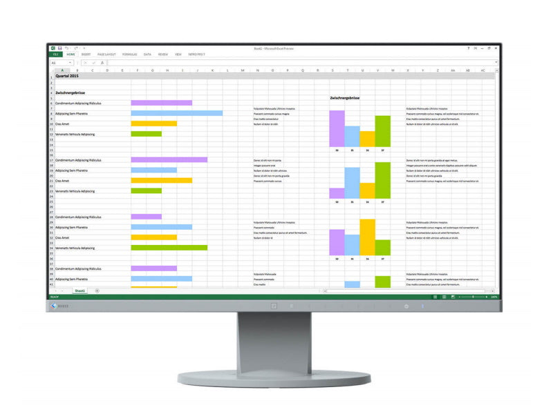 Eizo FlexScan EV2450 marble grey | 24 IPS 1920x1080 Farbe: marble grey