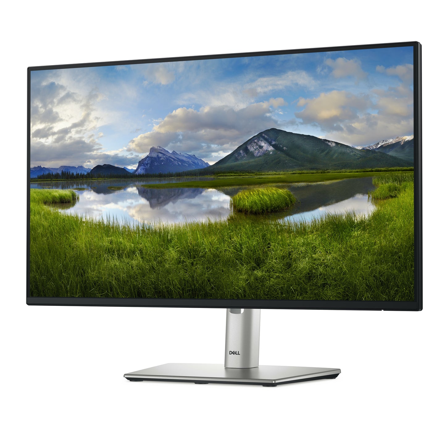 DELL Pro Plus 24 - P2425H (210-BMFF) - 24 inch - Full HD IPS LED Monitor - 1920x1080 - Pivot / HAS / USB-C