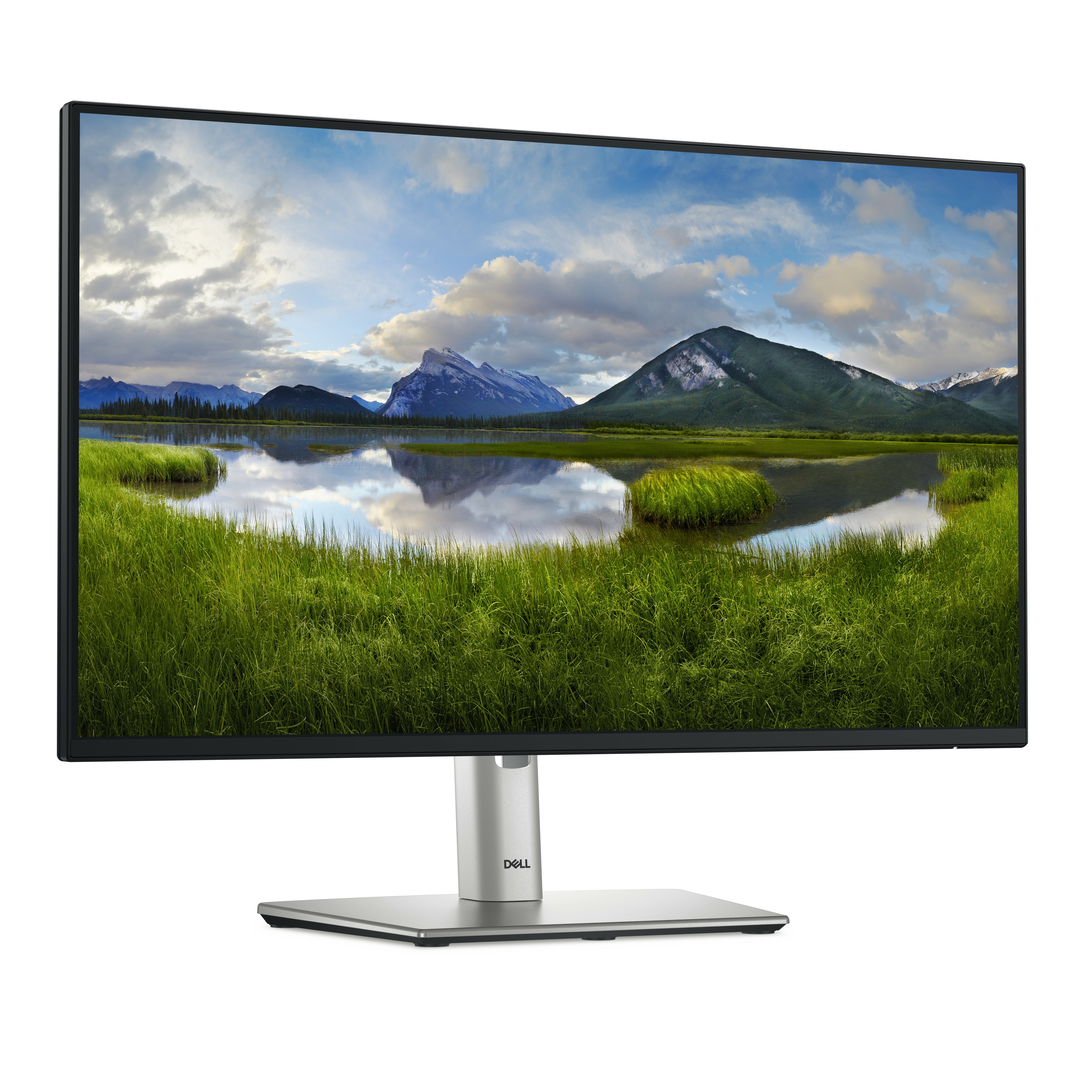 DELL Pro Plus 24 - P2425H (210-BMFF) - 24 inch - Full HD IPS LED Monitor - 1920x1080 - Pivot / HAS / USB-C
