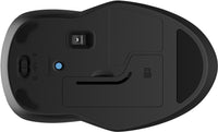 HP INC. 250 Dual Mouse (6V2J7AA)