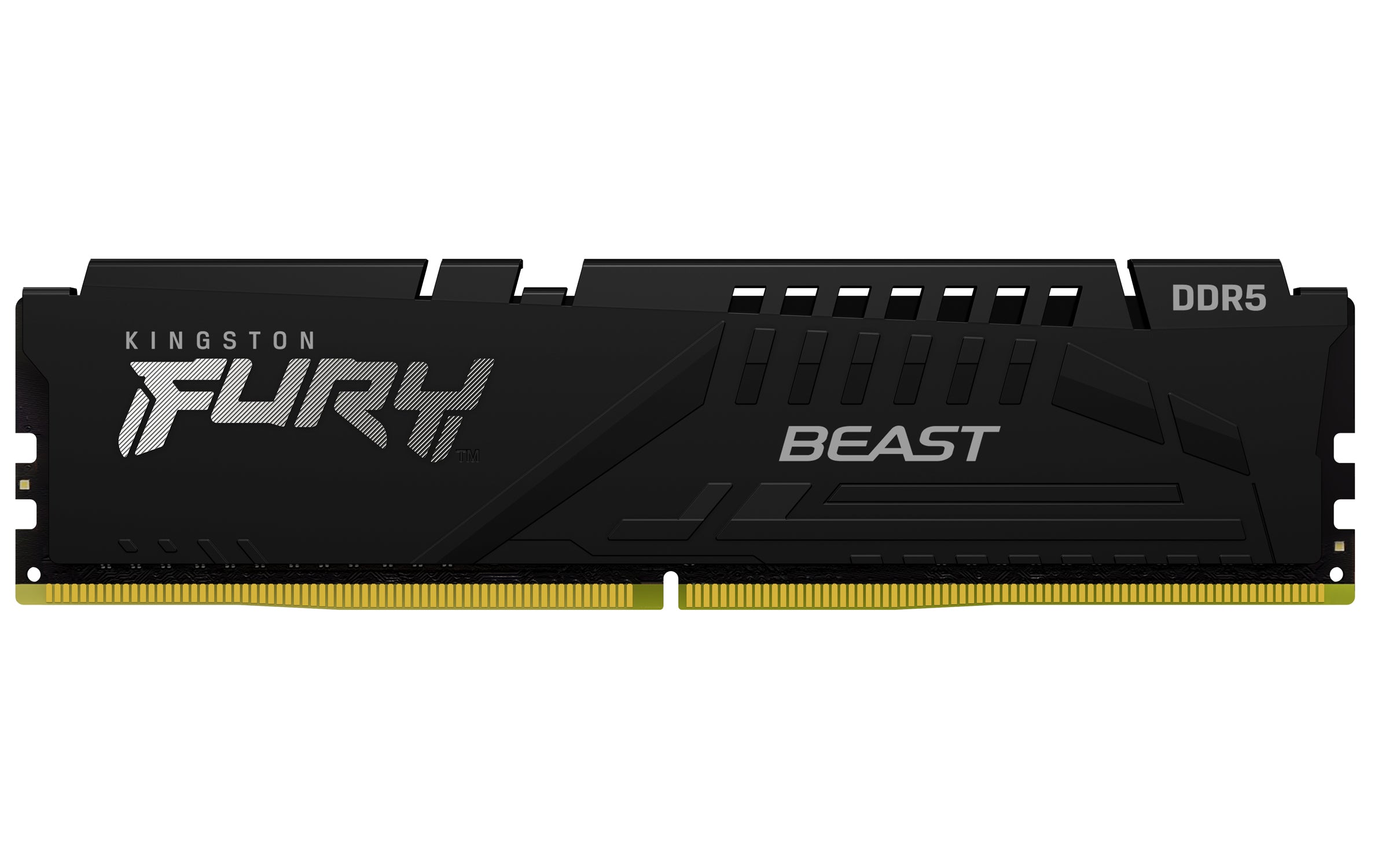KINGSTON FURY Beast - 32 GB - 2 x 16 GB - DDR5 - 288-pin DIMM - Black
