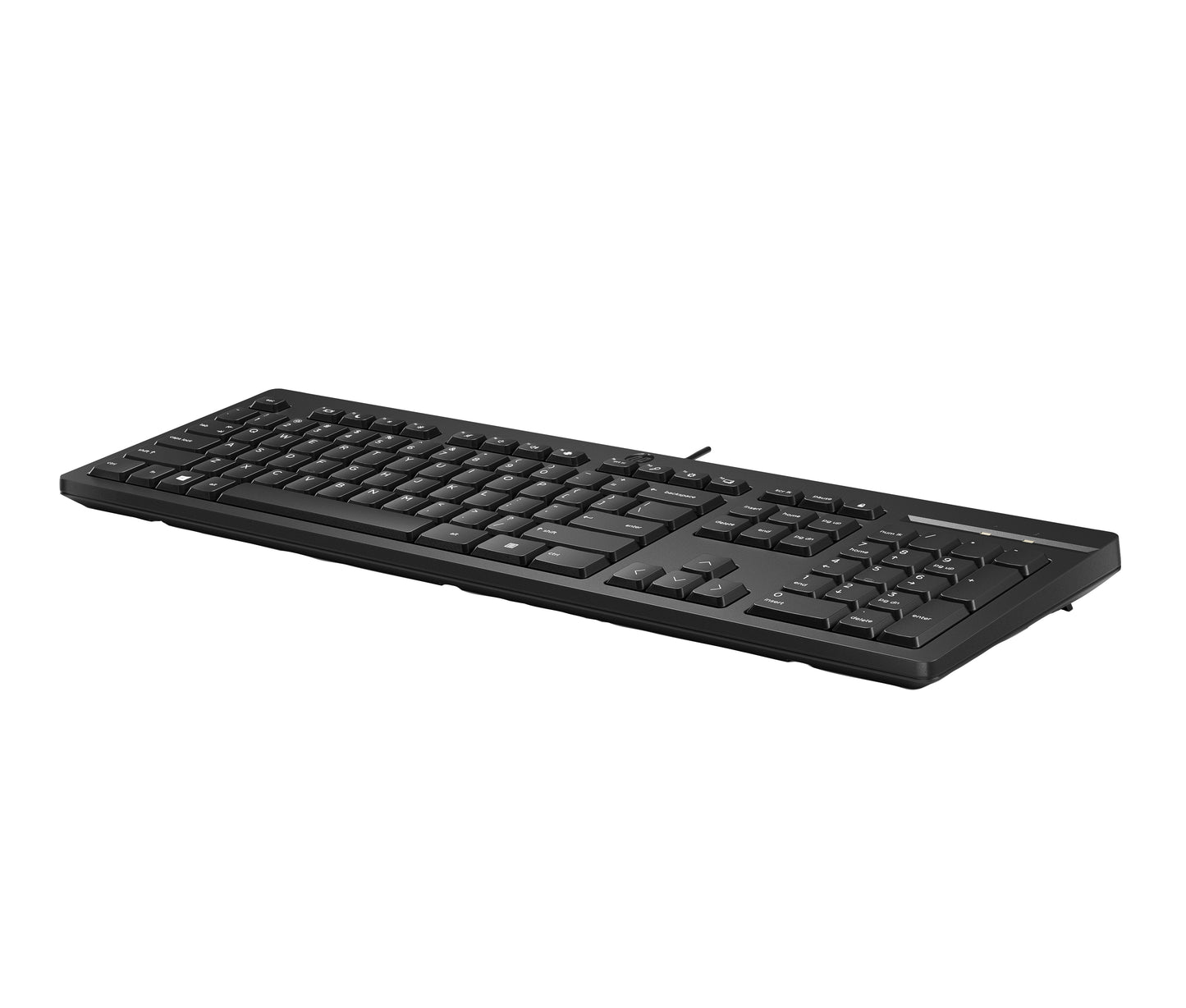 HP INC. 125 Wired Keyboard (AY2Y7AA) - QWERTY