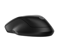 HP INC. 255 Dual Wireless Mouse (8R3U1UT)
