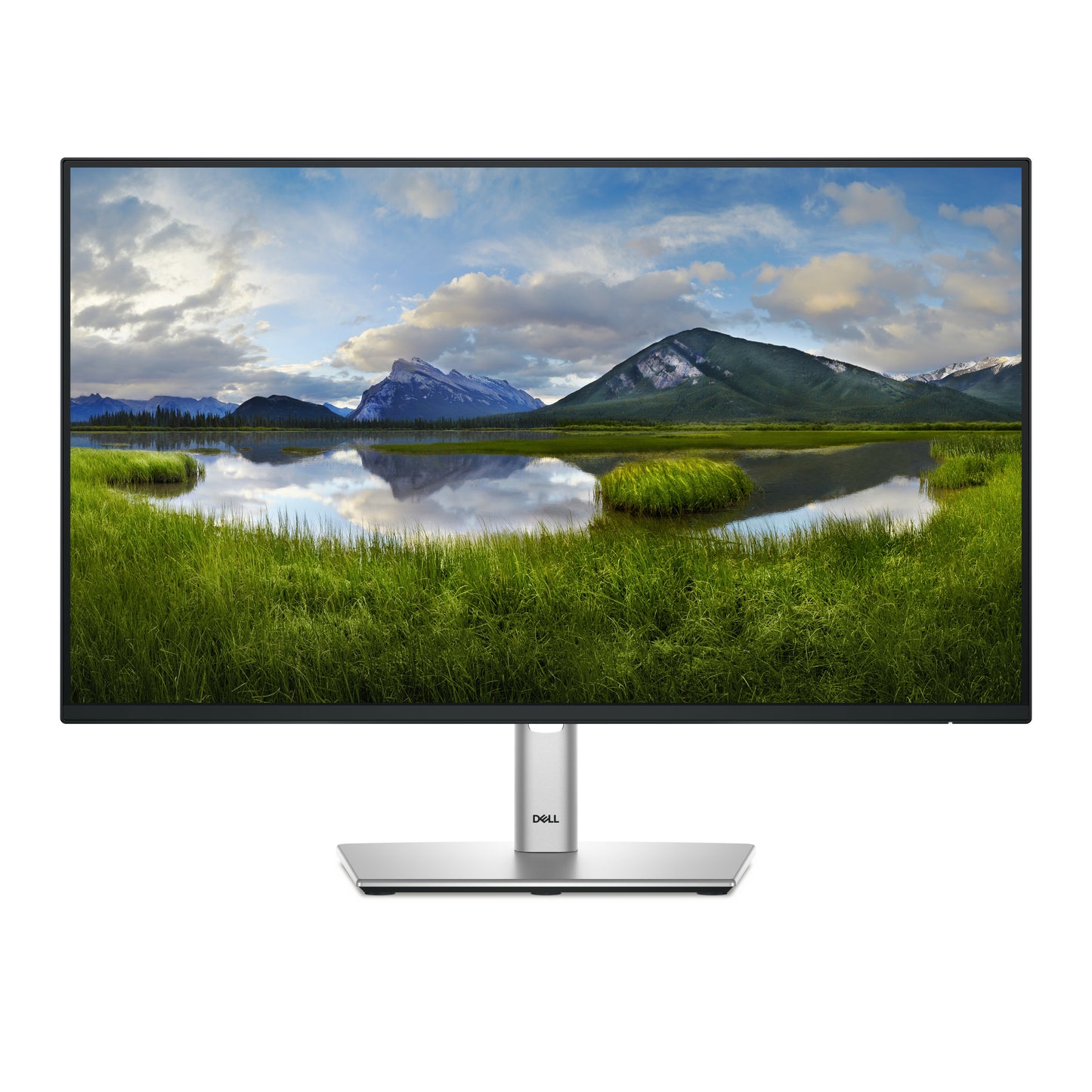 DELL Pro Plus 24 - P2425H (210-BMFF) - 24 inch - Full HD IPS LED Monitor - 1920x1080 - Pivot / HAS / USB-C