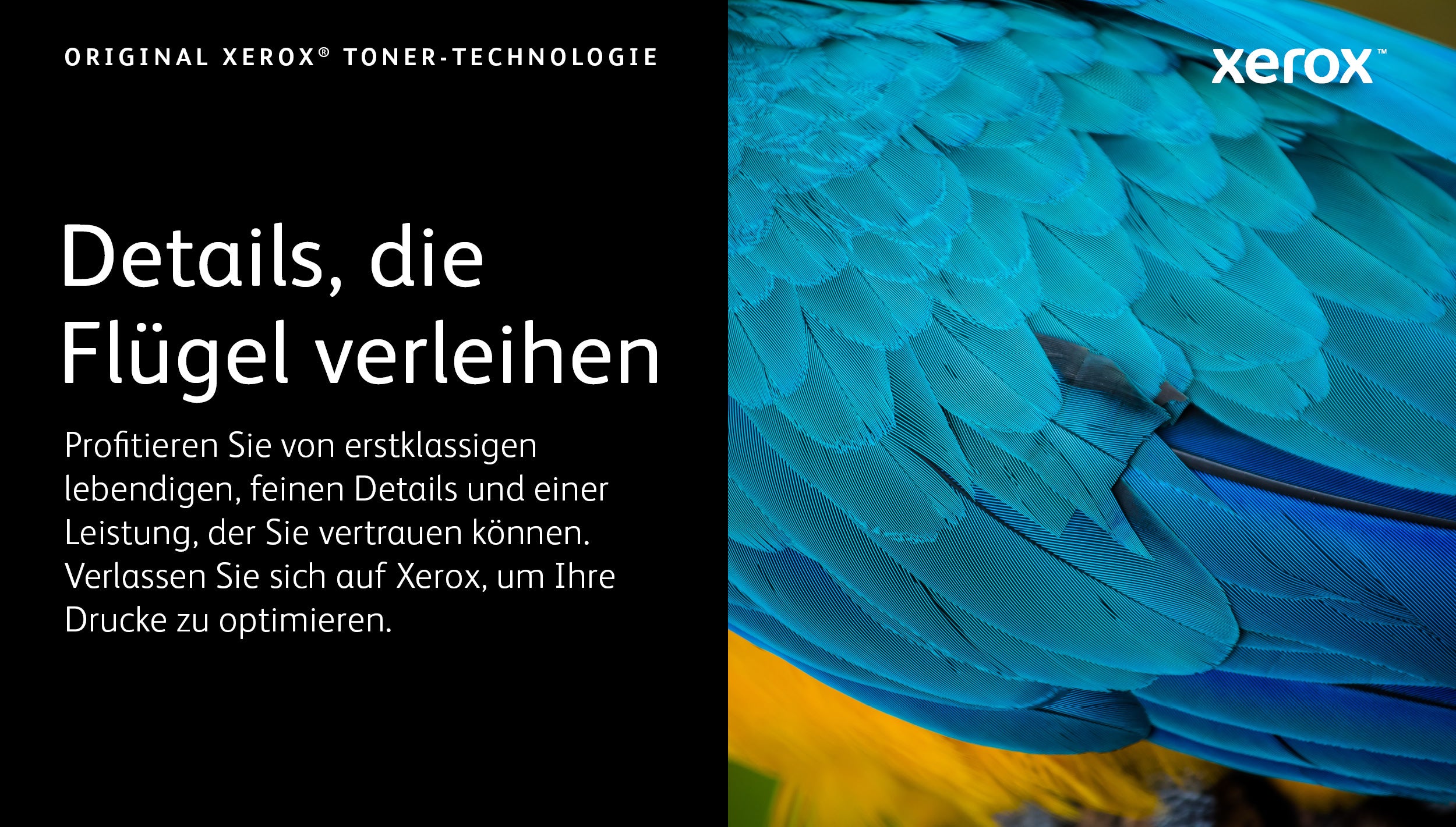 XEROX B310/B305/B315 - Toner Cartrdige - Black - 20.000 pages - 006R04378
