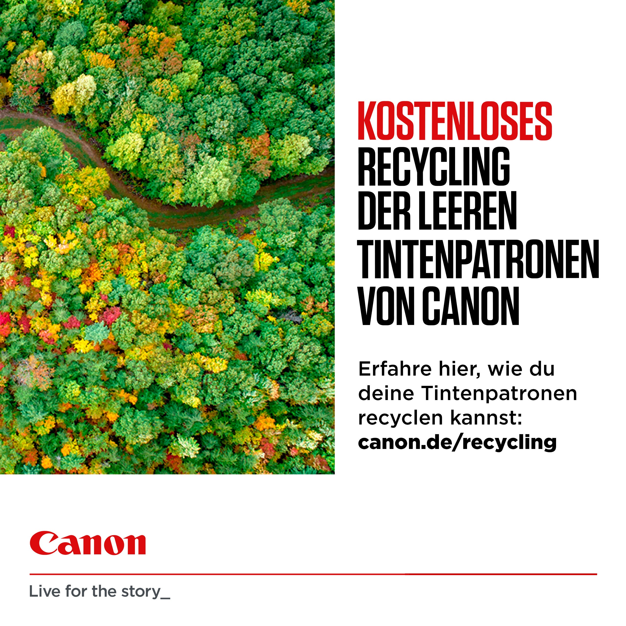 CANON PG-540L inkjet black 11ml original